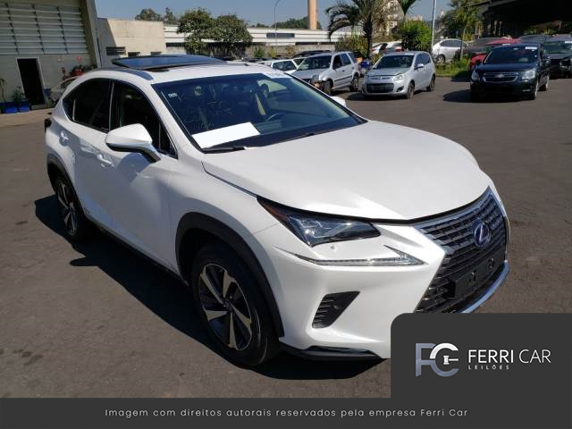 LEXUS NX 300H LUXURY 2.5 16V DUAL VVTI 19/19